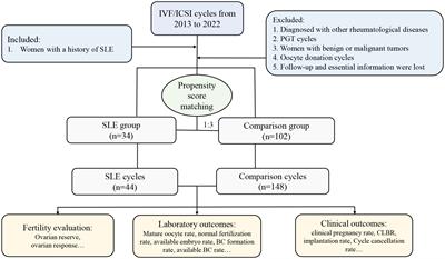 A new insight into the impact of systemic lupus erythematosus on oocyte and embryo development as well as female fertility